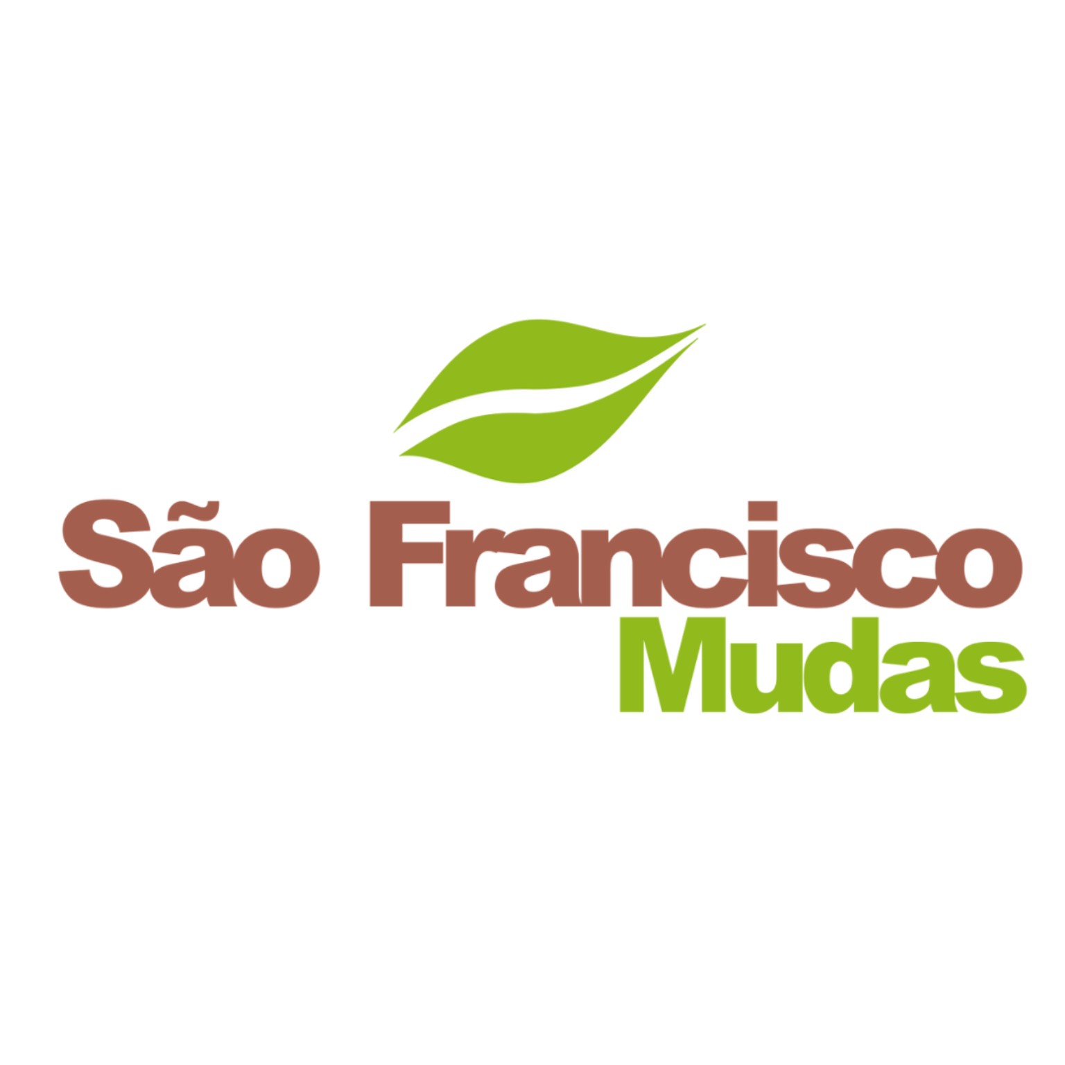 São Francisco Mudas - Viveiro de mudas de goiabeira em Petrolina-PE